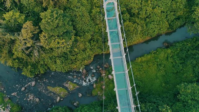 Top down aerial drone view of Glass Bridge in Bali. This 200-meter-long glass bridge stands 40 meters above the Tukad Petanu stream. 