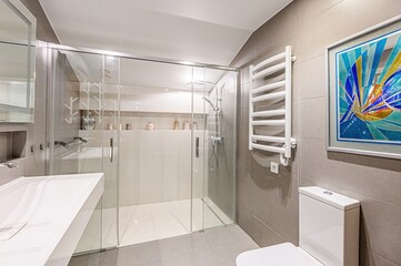 interior apartment room bathroom, sink, decorative elements, toilet. WC, sanitary unit, wash room