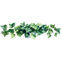 A lush, green ivy plant cascades elegantly in a white pot, featuring vibrant, heart-shaped leaves that bring a touch of nature indoors.