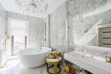 interior apartment room bathroom, sink, decorative elements, toilet. WC, sanitary unit, wash room