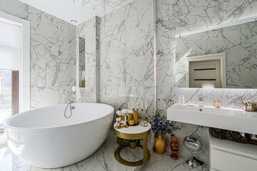 interior apartment room bathroom, sink, decorative elements, toilet. WC, sanitary unit, wash room