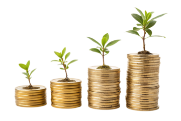 Gold coins stacked progressively taller, each adorned with a growing green plant, representing investment growth, sustainability, and eco-friendly wealth accumulation, On a transparent background