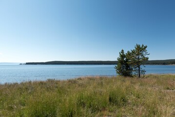 Serene lakeside view with clear blue sky and grassy shoreline.