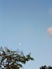 moon and clouds