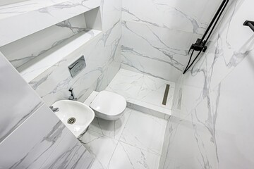 interior apartment room bathroom, sink, decorative elements, toilet. WC, sanitary unit, wash room