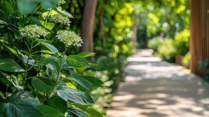 Wellness detox mental health. A tranquil garden path lined with vibrant green leaves and delicate flowers, inviting a peaceful stroll through nature.