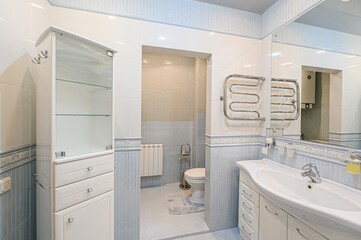 interior apartment room bathroom, sink, decorative elements, toilet. WC, sanitary unit, wash room