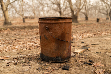 Naklejka premium Rusty metal bucket in a dry field with fallen leaves and bare trees in the background. Rural scene in Mendoza, Argentina, surrounded by vineyards and nature.