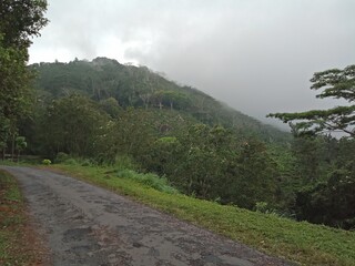 Landscapes view from Top of a mountain of Sri Lanka. Breathtaking Beauty Capturing the Serene Essence of Nature in Stunning Landscapes. A Journey Through Picturesque Nature Landscapes.