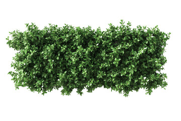 Top view of a hedge row isolated or on white background 3d render png. Architecture plan