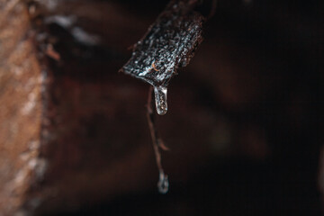 Macro Shot of Melting Icicle on Wood – Winter's Fragile Beauty in Detail