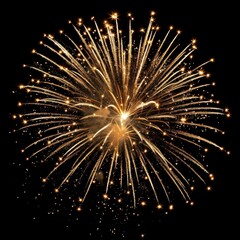 Fototapeta premium Firework burst fireworks black background illuminated.