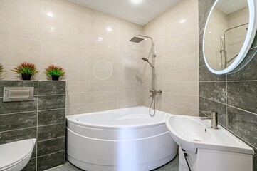interior apartment room bathroom, sink, decorative elements, toilet. WC, sanitary unit, wash room