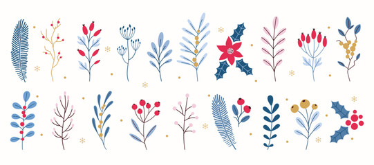 Holiday minimalist winter plants collection. Hand drawn Christmas decoration elements set. Branches, berries and flowers. Vector flat illustration.