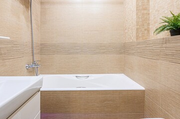 interior apartment room bathroom, sink, decorative elements, toilet. WC, sanitary unit, wash room