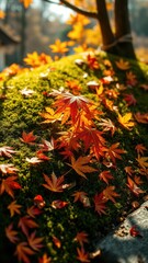 Autumn leaves blanket mossy ground near a tree at a Japanese garden during late afternoon