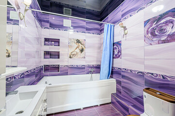 interior apartment room bathroom, sink, decorative elements, toilet. WC, sanitary unit, wash room