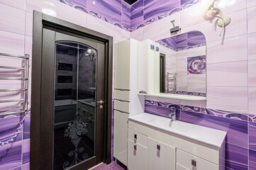 interior apartment room bathroom, sink, decorative elements, toilet. WC, sanitary unit, wash room