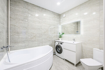 interior apartment room bathroom, sink, decorative elements, toilet. WC, sanitary unit, wash room