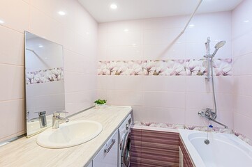 interior apartment room bathroom, sink, decorative elements, toilet. WC, sanitary unit, wash room