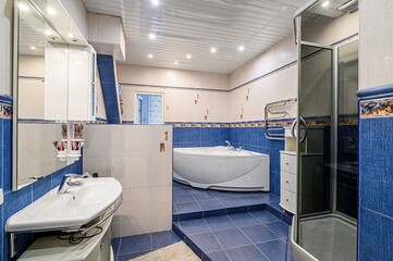 interior apartment room bathroom, sink, decorative elements, toilet. WC, sanitary unit, wash room