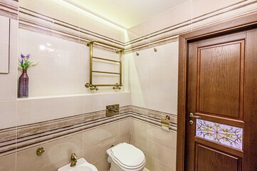 interior apartment room bathroom, sink, decorative elements, toilet. WC, sanitary unit, wash room