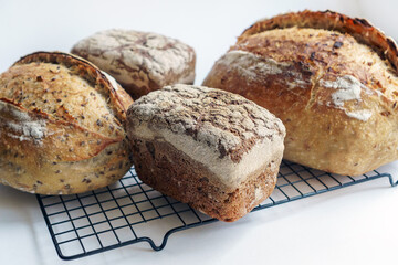 Four homemade artisan sourdough breads on a wire rack. Bread for a beginner learning to bake. Wheat and rye with seeds.
