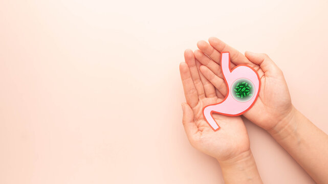Helicobacter pylori bacteria infects human stomach. Awareness of H.pylori infections may result in stomach inflammation (gastritis), peptic ulcer disease. Gastrointestinal concept.