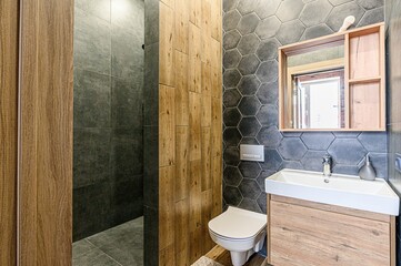 interior apartment room bathroom, sink, decorative elements, toilet. WC, sanitary unit, wash room