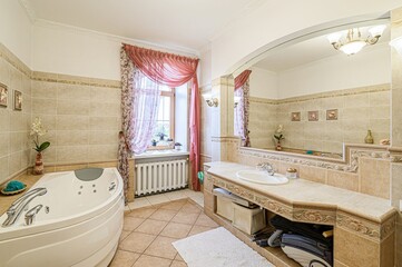 interior apartment room bathroom, sink, decorative elements, toilet. WC, sanitary unit, wash room