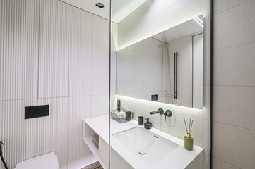 interior apartment room bathroom, sink, decorative elements, toilet. WC, sanitary unit, wash room