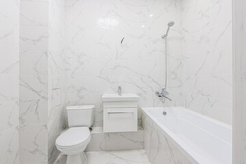interior apartment room bathroom, sink, decorative elements, toilet. WC, sanitary unit, wash room