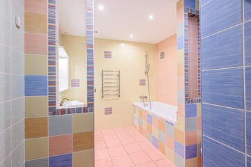 interior apartment room bathroom, sink, decorative elements, toilet. WC, sanitary unit, wash room