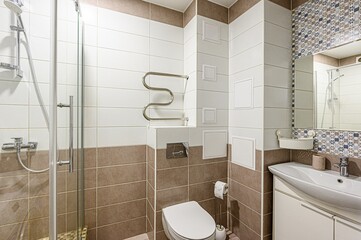interior apartment room bathroom, sink, decorative elements, toilet. WC, sanitary unit, wash room