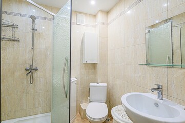 interior apartment room bathroom, sink, decorative elements, toilet. WC, sanitary unit, wash room