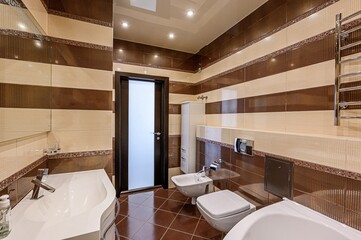 interior apartment room bathroom, sink, decorative elements, toilet. WC, sanitary unit, wash room