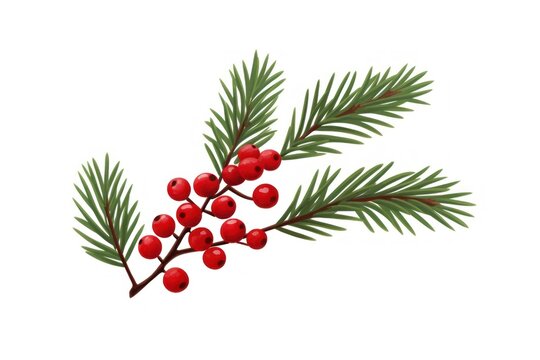recommend clip art: Pine leaves christmas plant berry.