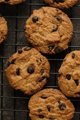 Chocolate cookies placed on a tray and shot using macro lens.