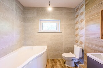 interior apartment room bathroom, sink, decorative elements, toilet. WC, sanitary unit, wash room