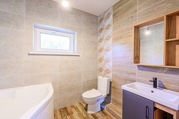 interior apartment room bathroom, sink, decorative elements, toilet. WC, sanitary unit, wash room