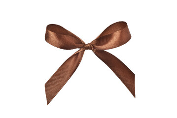 Beautiful brown gift bow isolated on white background