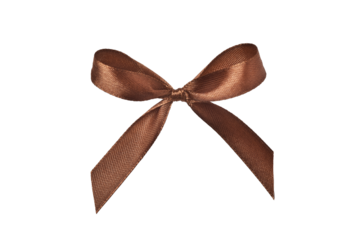 Beautiful brown gift bow isolated on white background