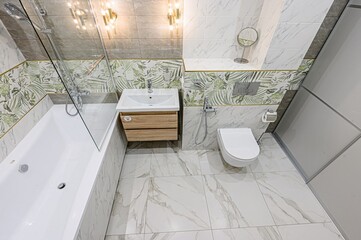 interior apartment room bathroom, sink, decorative elements, toilet. WC, sanitary unit, wash room