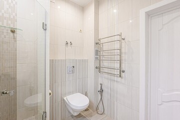 interior apartment room bathroom, sink, decorative elements, toilet. WC, sanitary unit, wash room