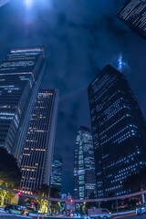 【東京】2024年　秋　大都会高層ビルと街並みの夜景　摩天楼の交差点【日本】
