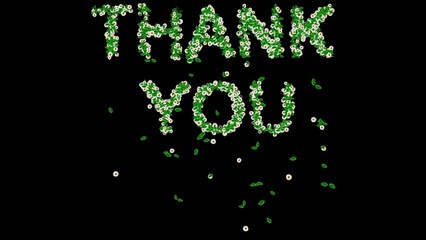 Beautiful illustration of Thank You text with green leaves and white daisy flowers on plain black background