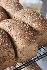 Sourdough Multigraine Whole Bread Loaves