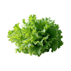 Obraz premium Fresh Green Lettuce Leaves for Healthy Salads and Dishes