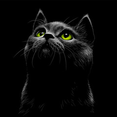 Graphic portrait of a black cat looks up on a black background.
