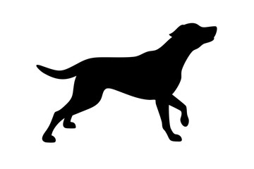 Dog silhouette. Vector silhouette of dog on white background.